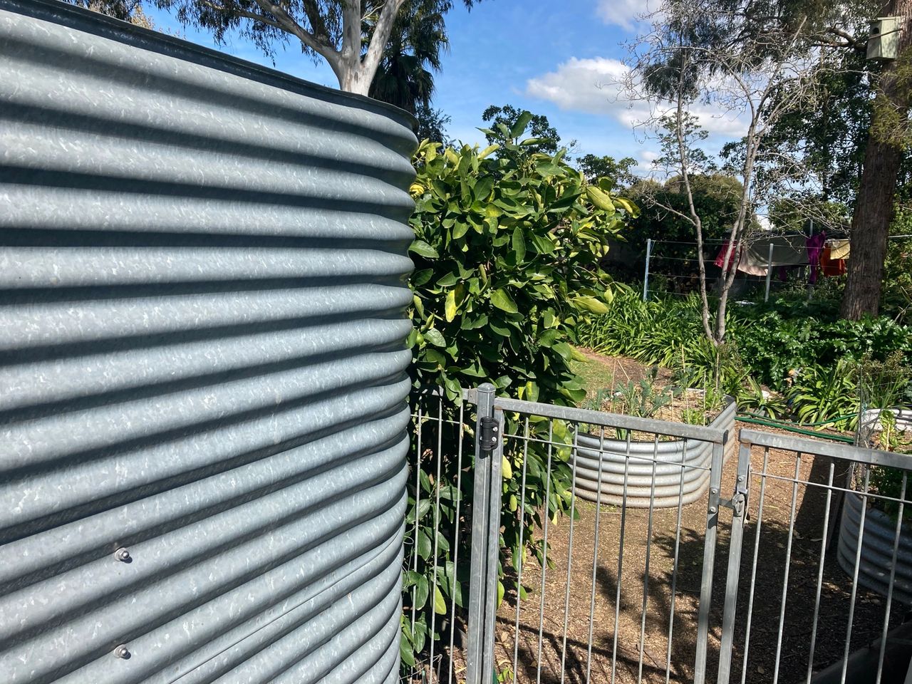 Rainwater tank and rear yard