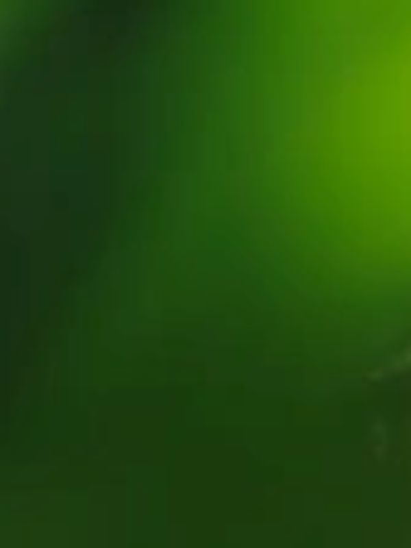 community job search
