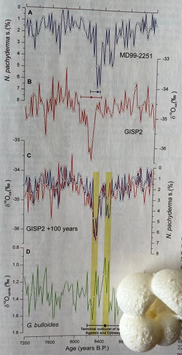 Scientific graph showing changes in N. pachyderma and oxygen isotope ratios over 7200-8800 years.
