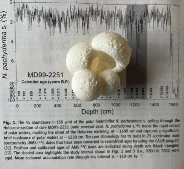 A white coccolithophore fossil on a scientific graph about polar sediment data.