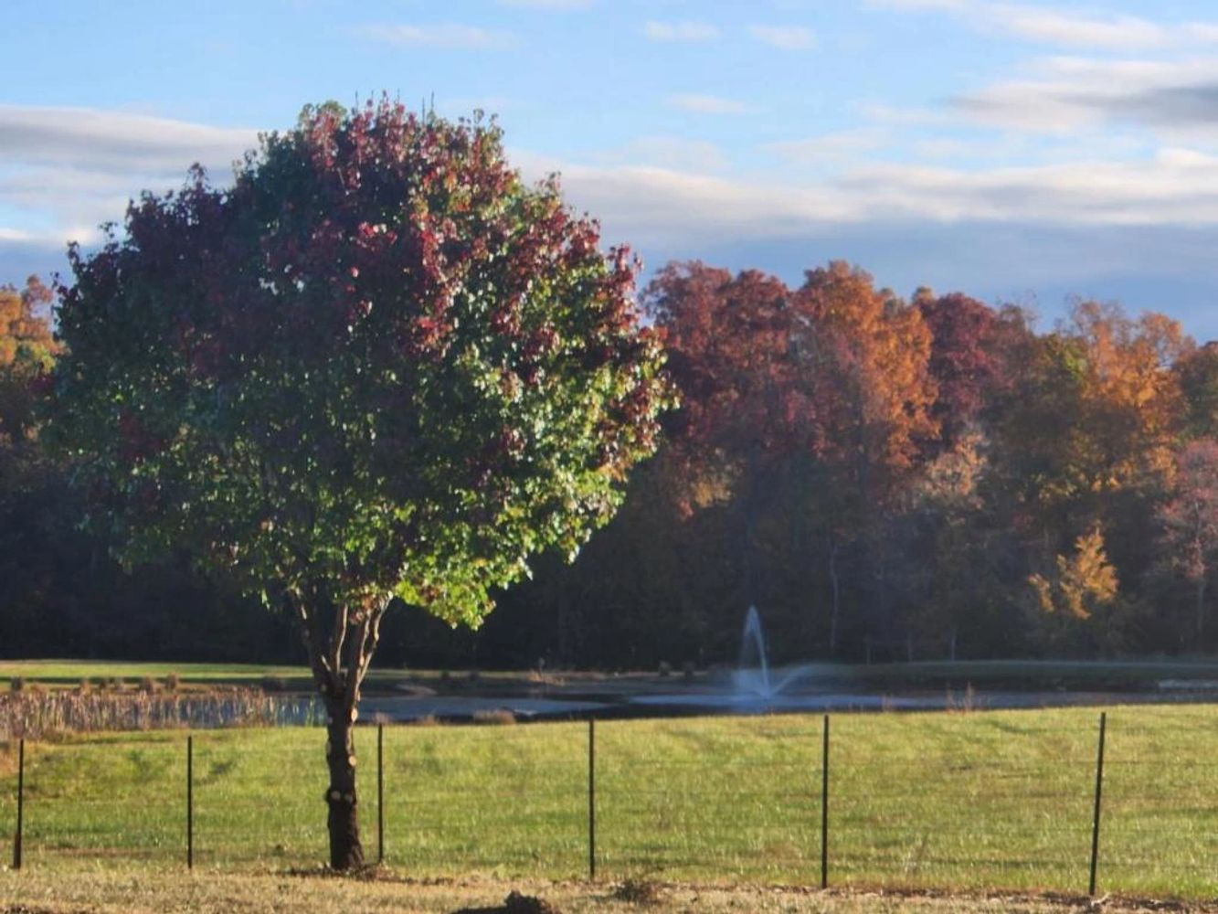 Escape to Paradise: Southern California Country Life RV Park Awaits!