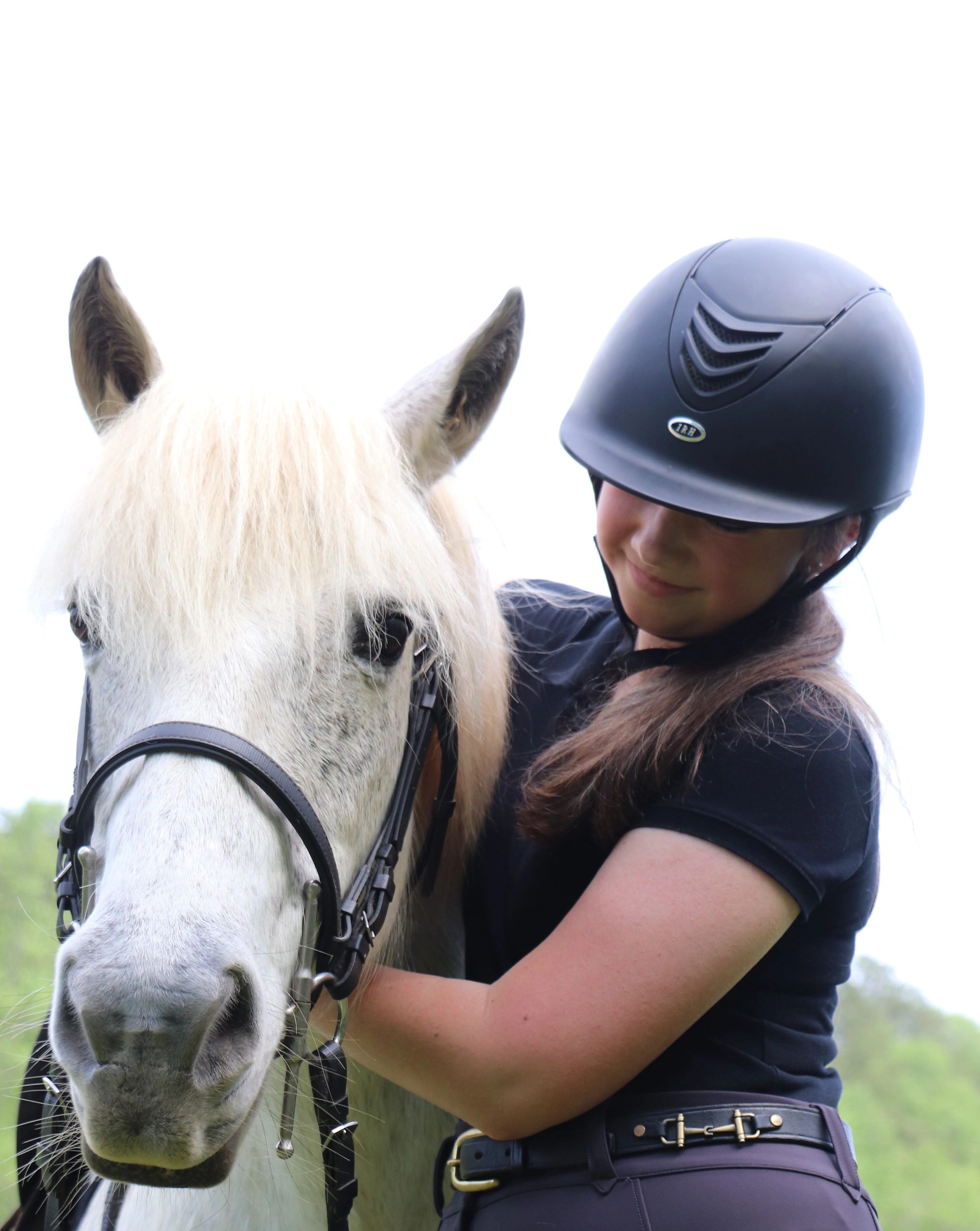 Willow Tree Farm & Riding School LLC - Home