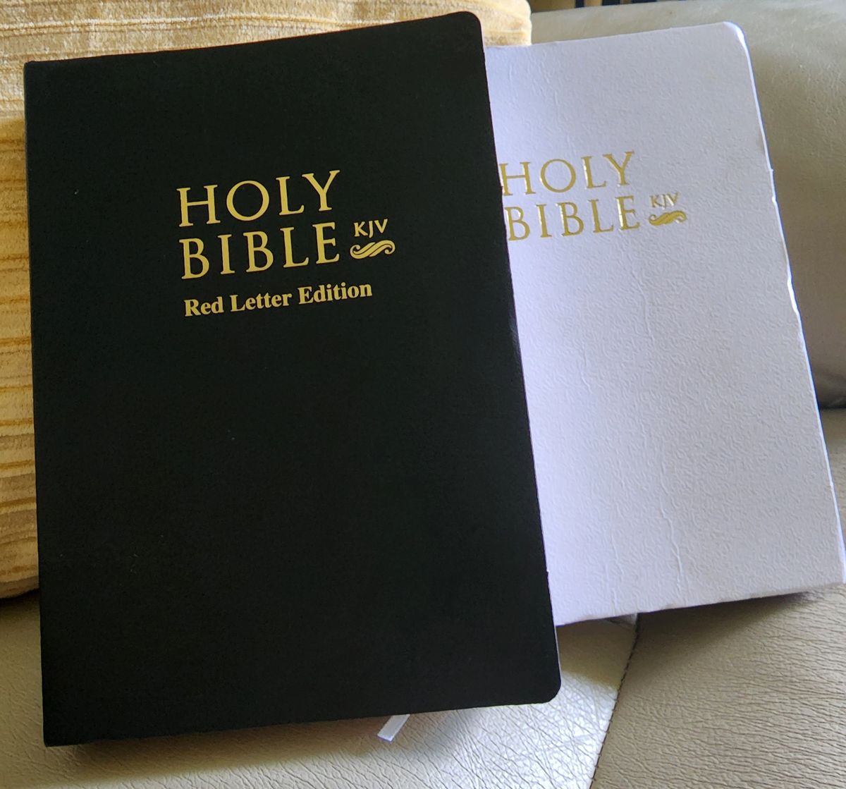 HOLY BIBLE TYPES visual data 2