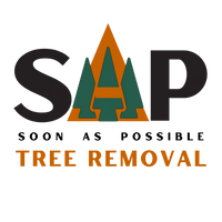 sap tree removal