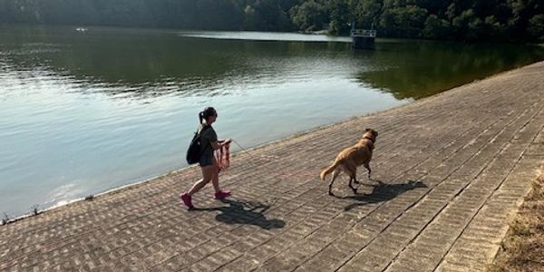 Fun outings with your furry friend