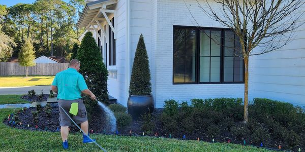 Person watering plants