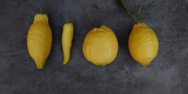 Lemons, Photo credit, By Pils, Unsplash