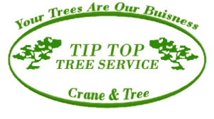 Tip Top Crane & Tree