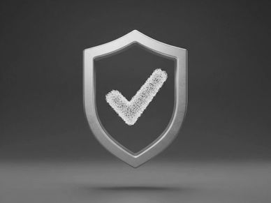 Silver shield with a white check mark symbolizing security.