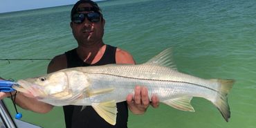 Sightfishing 30-40”+  Snook on the beaches is a inshore charter favorite April - October
 