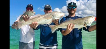Triple hook up on redfish on an inshore fishing charter in the fall 