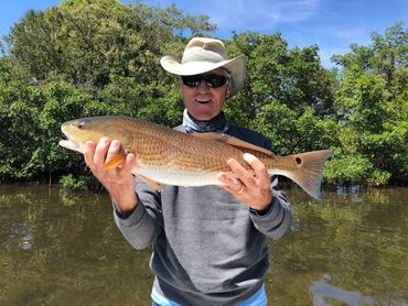Another nice redfish caught on a half day inshore charter 