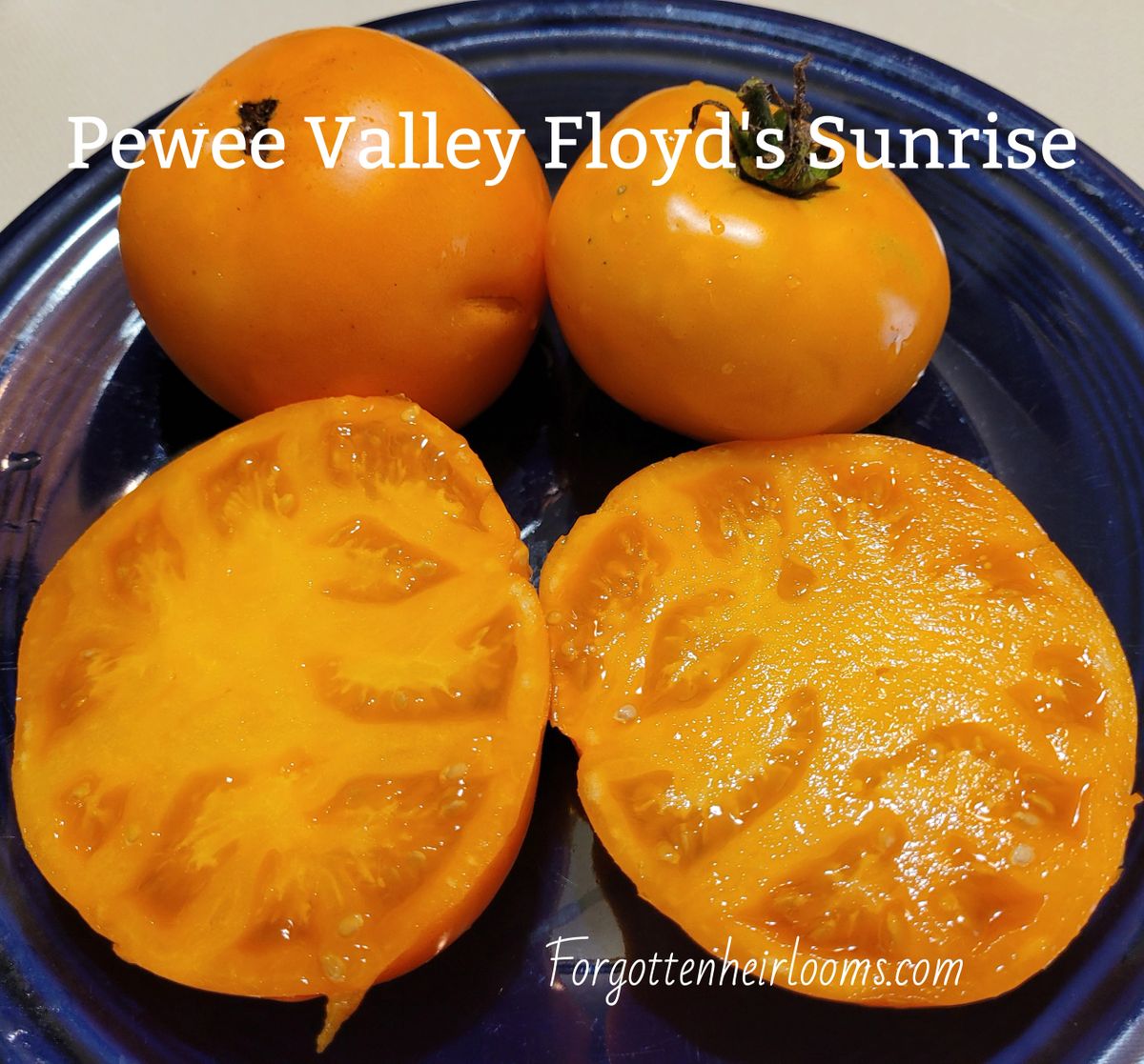 Pewee Valley Floyd's Sunrise