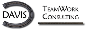 Davis TeamWork Human Resource Consulting logo