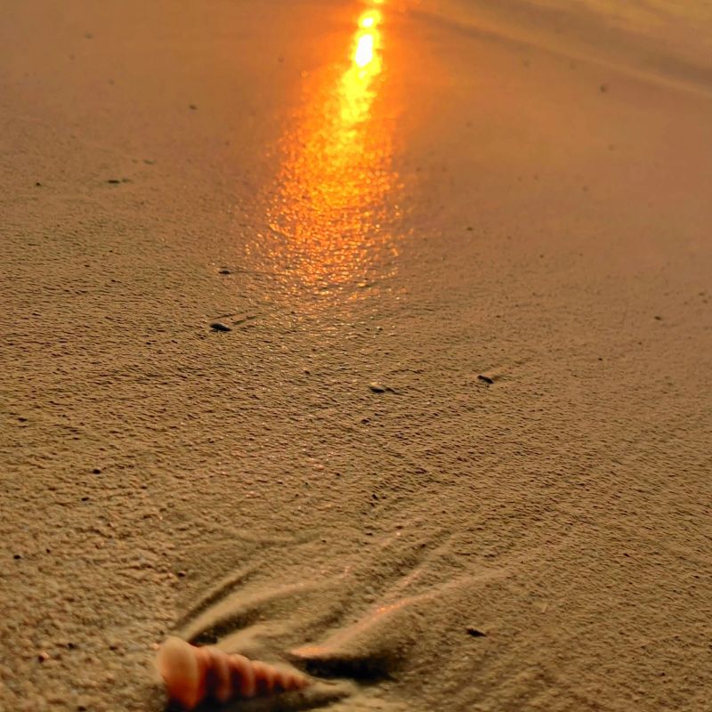 beach.jpg