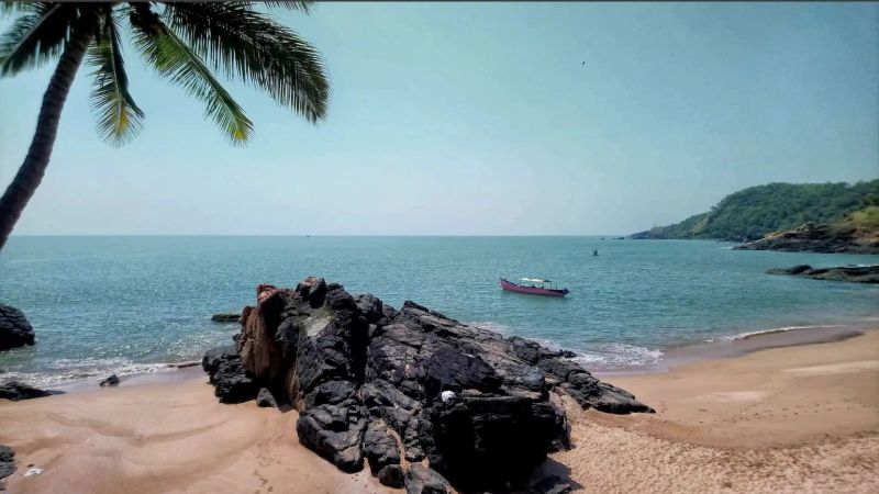 paradise.jpg