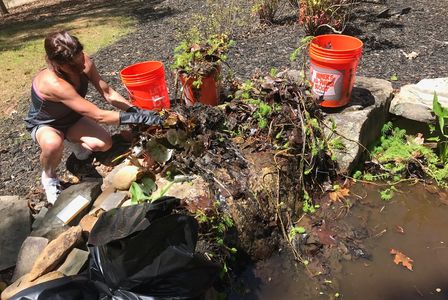 pond maintenance and  spring cleaning
