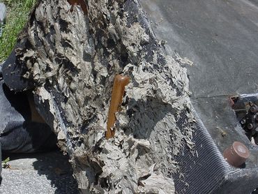 Termite carton nest in an old recliner chair