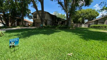 A sunny suburban yard with a lush green lawn and a pest control sign.