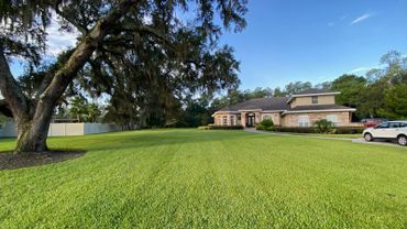 Spacious front yard with lush green grass and a large tree near a modern house.