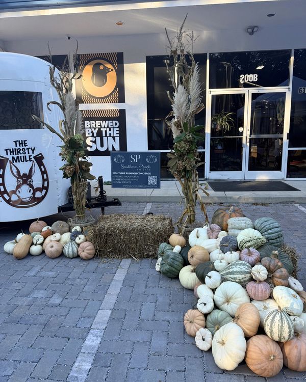 Fall pumpkin installation for local Wilmington, NC business.