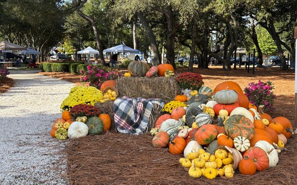 Stunning custom display at Riverlights in Wilmington, NC