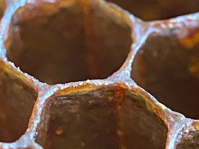 Full Honeycomb and Honey Removal is standard at BeeDoctor Bee Removal during a live bee removal.