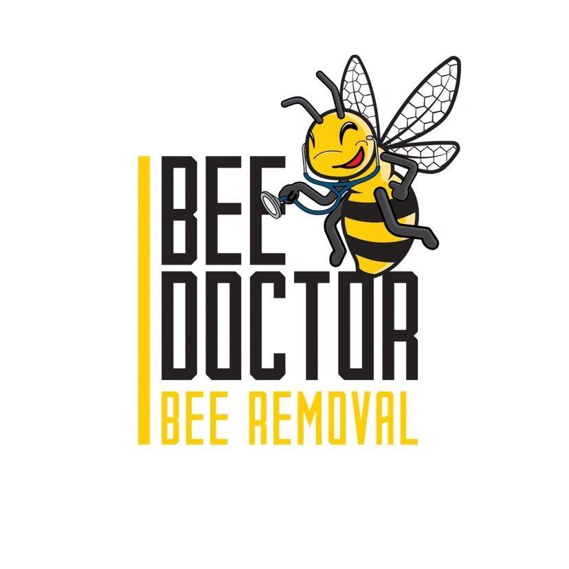 Live Bee Removal Service Local Honey BeeDoctor Bee Removal