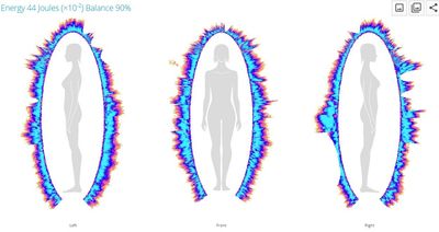 Bio-Well Biowell Energy electro photonic image nadis naadis energy blue red orange aura around body