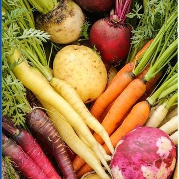 farm fresh potatoes, carrots, beets and parsnips arranged together