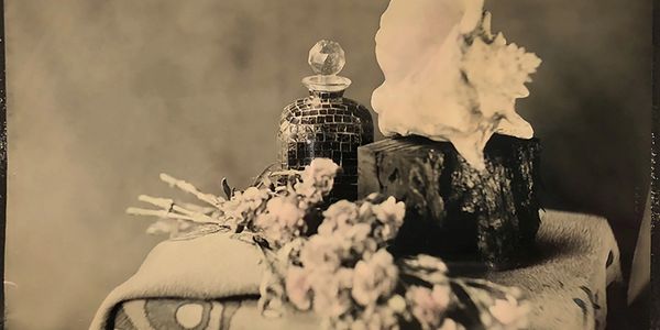 Wetplate colldion still life, carnations with conch shell. 