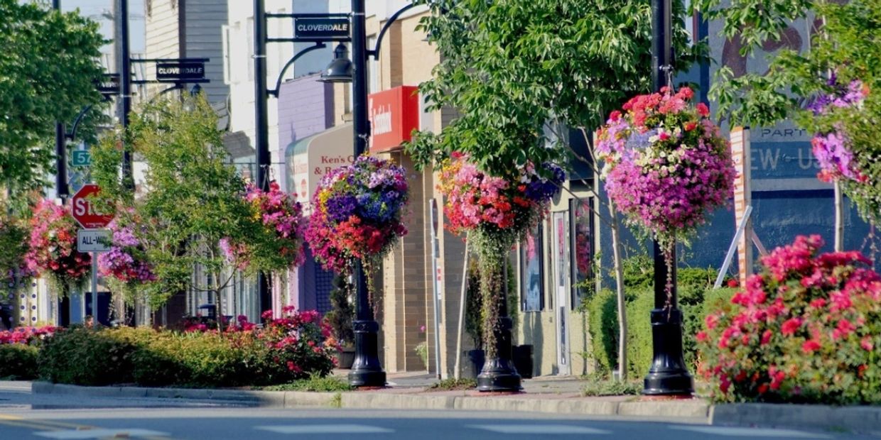 A vibrant street decorated with hanging flower baskets and greenery under bright sunlight.