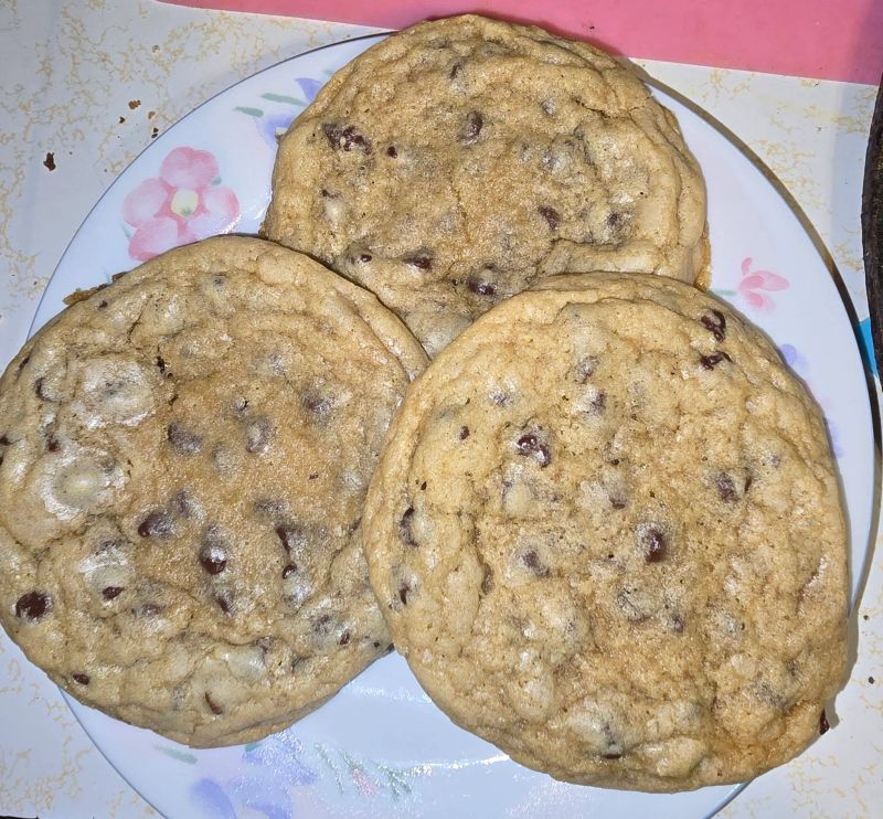 Chewy Chocolate Chip Cookies