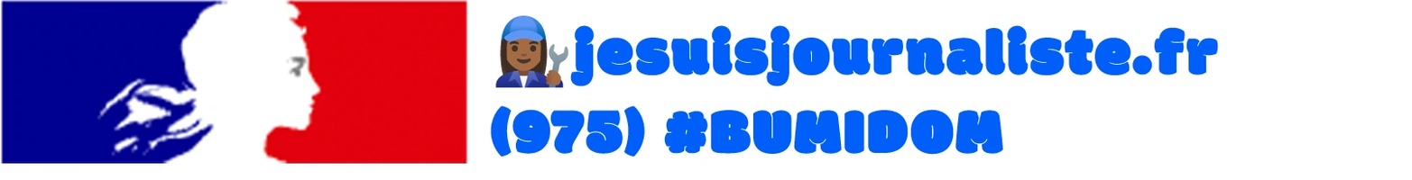 🇫🇷 صحافي 🇪🇺 
N'GU€SSAN 🐘 FR€NCH Alva, journalist€ #Bumidom