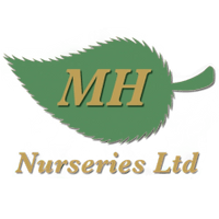 MH Nurseries