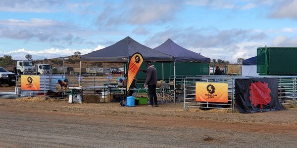 Outdoor event tents with signs on a dirt ground.