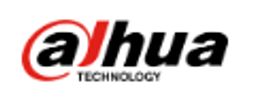 Dahua Technology logo with black and red colors.