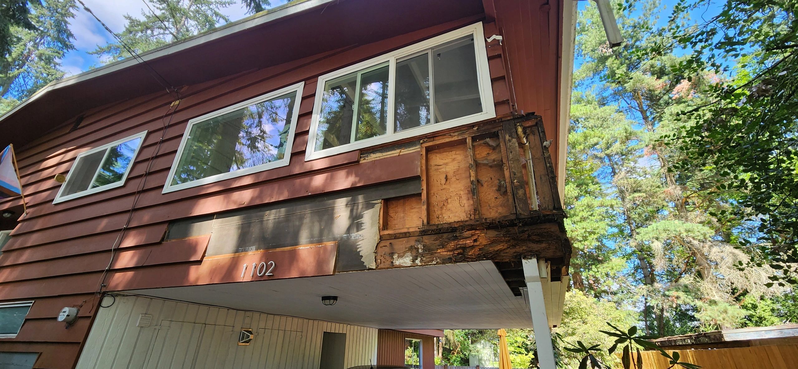 Dry Rot Early Signs: How to Spot Problems Ahead of Time