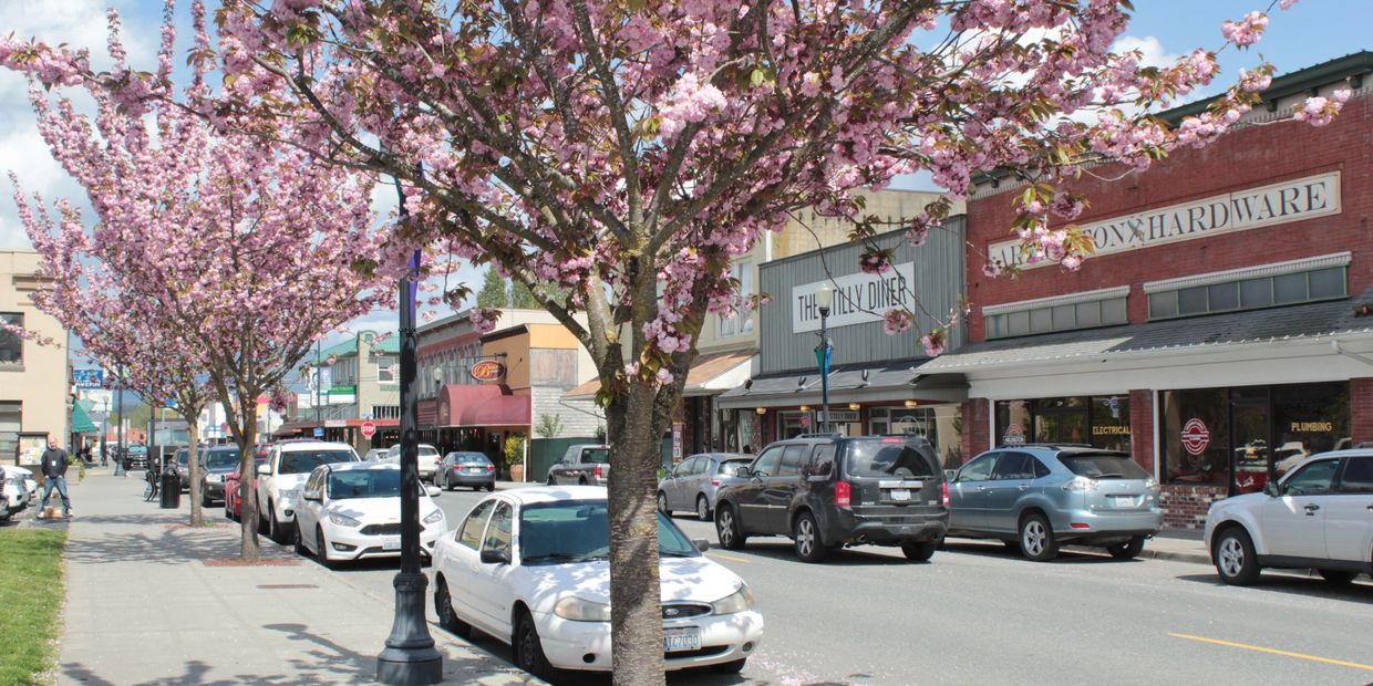 Stores and cars in background, pink leaf trees along the road.