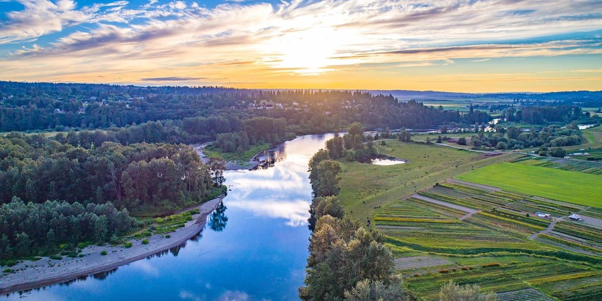 river next to a forest and crop fields