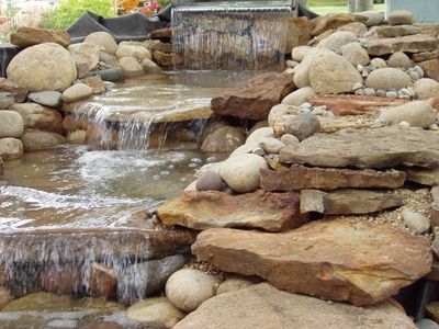 Learn about pond building from the Koi Lagoon experts.