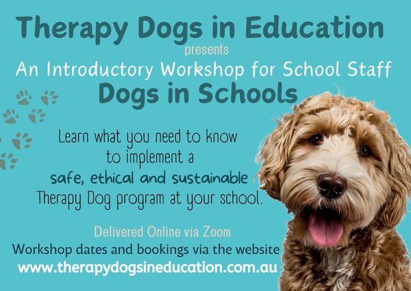 Introductory workshop for school staff. full day