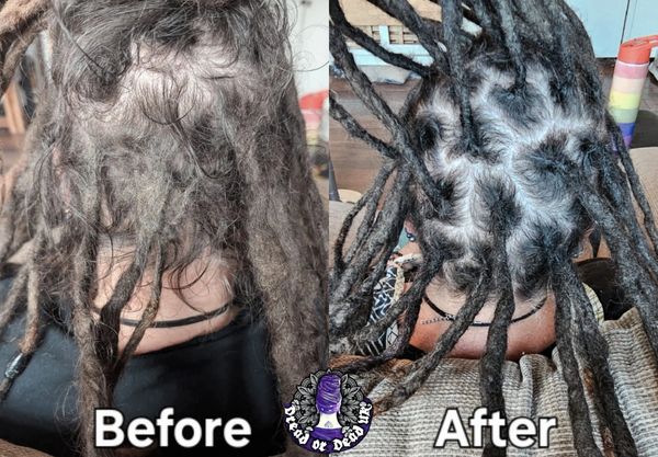 8 year old mature dreadlocks maintenance and rescue repair. Norfolk, UK