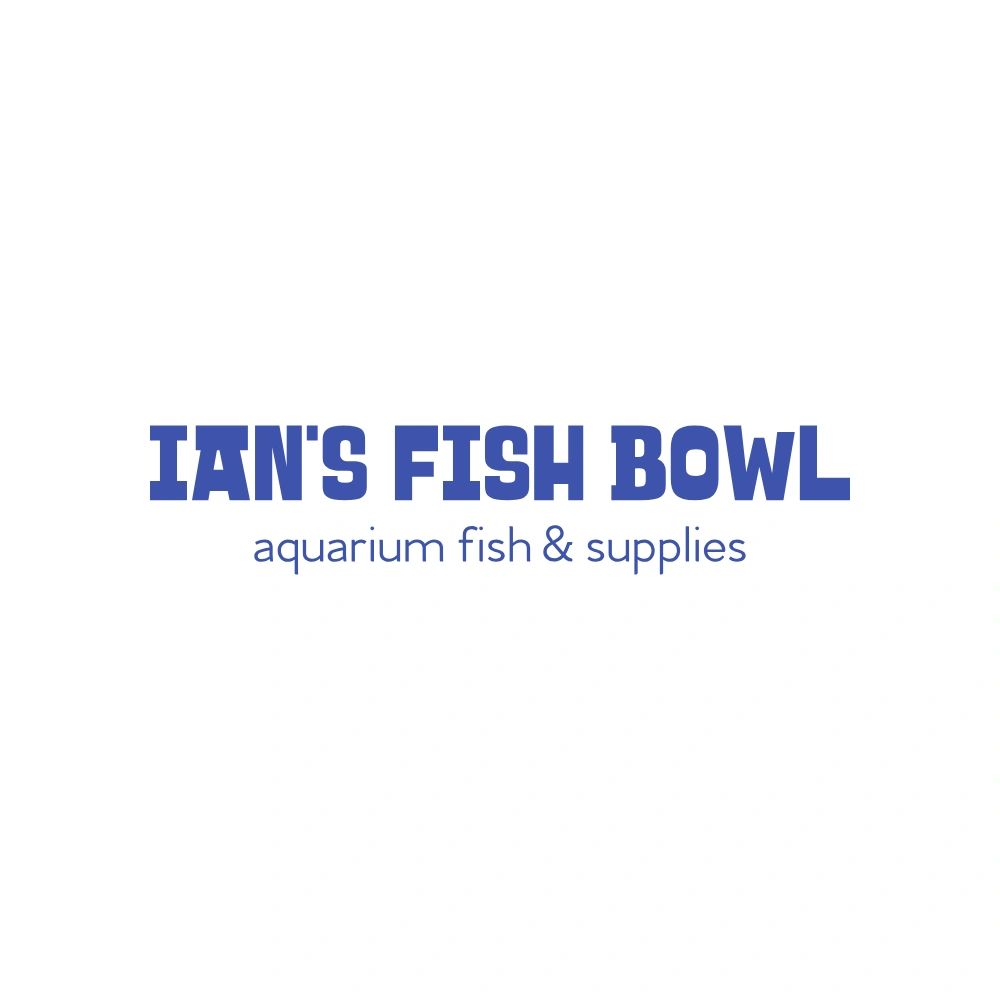 Fish bowl online shopping hot sale