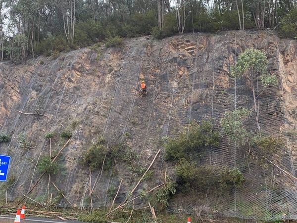 Tree services Albury 