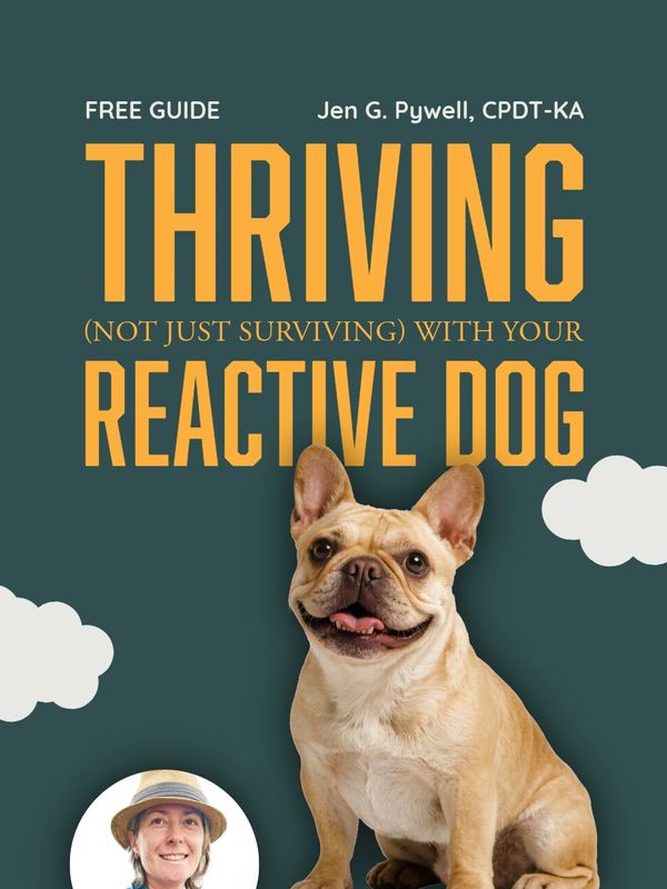 Book cover about thriving with your reactive dog by Jen G. Pywell.