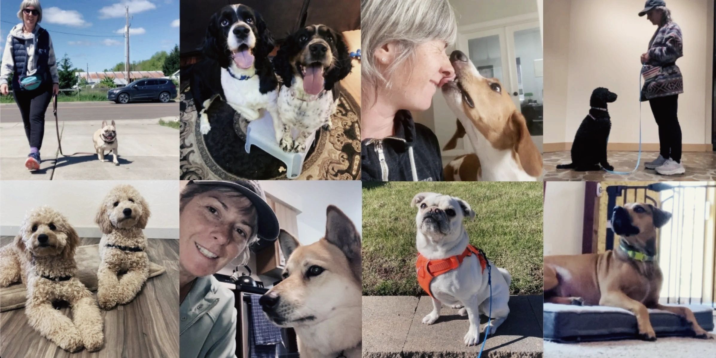 Jen G. Pywell, Dog Trainer Specializing in Fearful and Reactive Dogs