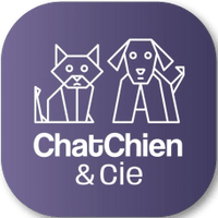 Salon Chat, Chien & Cie (en construction)