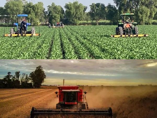 Nuestra maquinaria trabajando en el campo 