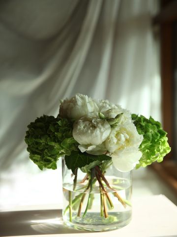 Timeless White Peonies 
